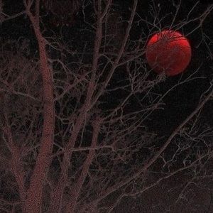 Meet your Posher, Simon